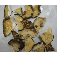 Broken Shiitake Pilze in Veriety Paket